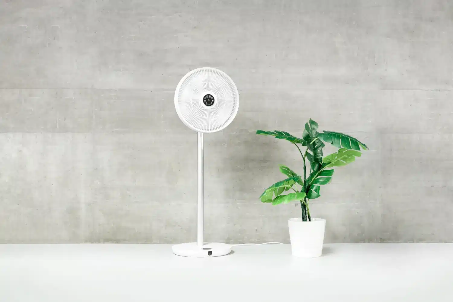 ecoQ SilentAir Grande fan on a concrete wall next to a plant