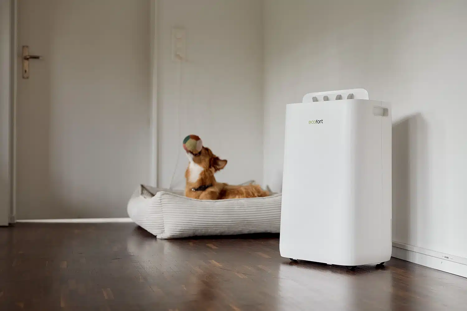 ecoQ DryAir 25L Complete Luftentfeuchter im Wohnzimmer mit Hund