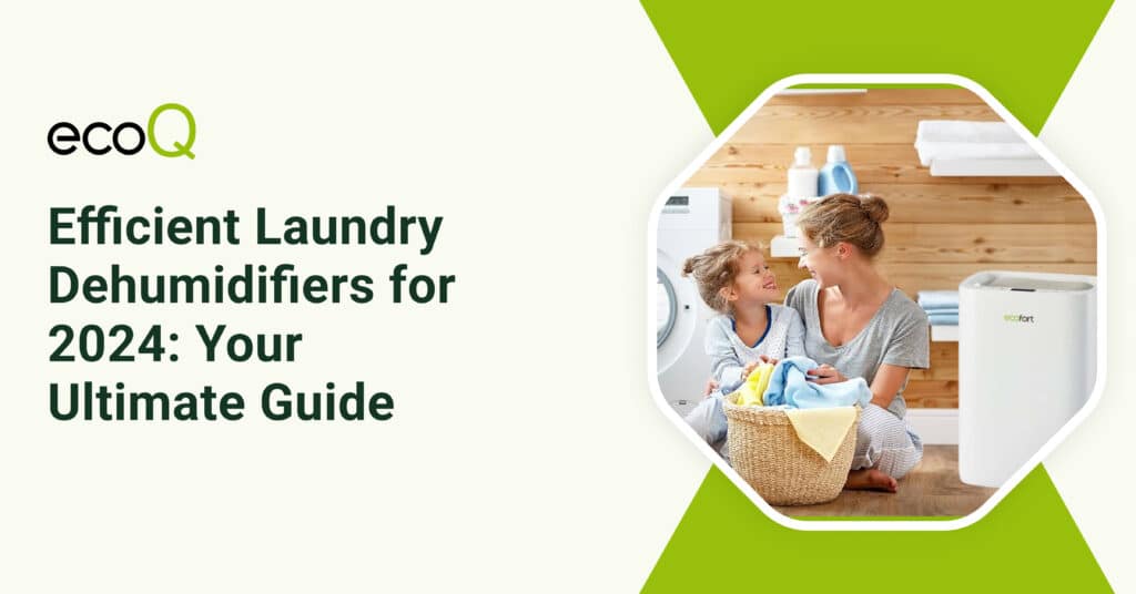 Efficient Laundry Dehumidifiers for 2024: Your Ultimate Guide