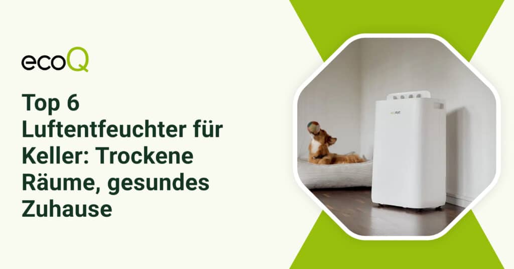 Top 6 Luftentfeuchter fu╠êr Keller_ Trockene Ra╠êume, gesundes Zuhause